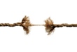 Hanging by a Thread 4